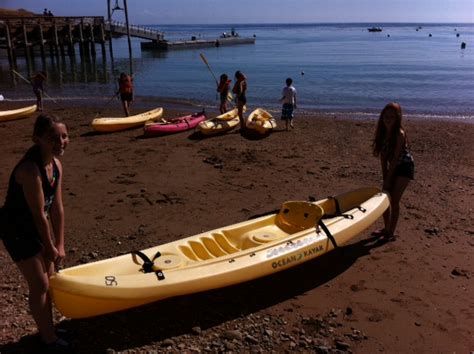 Kadima Travels Catalina Island 6th And 7th Graders Explore Marine