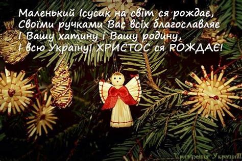*** шлемо найкращі вітання з нагоди нового року та різдва христового! Привітання з Різдвом Христовим, Вітання з Різдвом Христовим, Привітання на Різдво — 7 січня, СМС ...