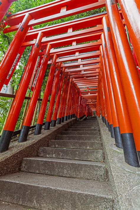 Japanese Traditional Red Tori Gates In Tokyo Stock Photo Image Of