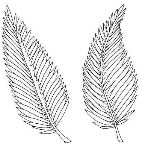 Free for commercial use no attribution required high quality images. Tropical Leaves Coloring Pages at GetColorings.com | Free ...
