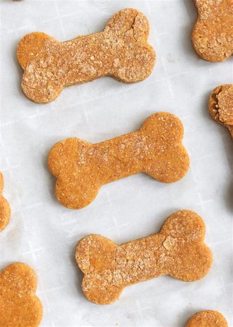 Peanut Butter Pumpkin Dog Treats Kathleens Cravings