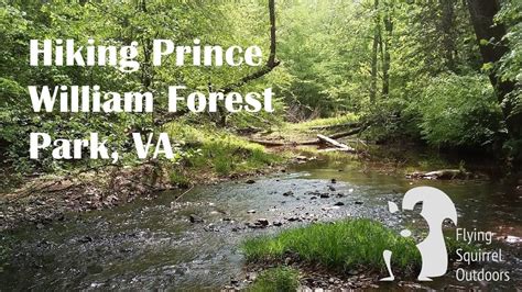 Hiking Prince William Forest Park A Washington Dc Escape Youtube