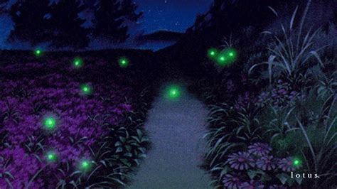 Streamerror I Was Chasing A Firefly To Light My Way Home But Then I