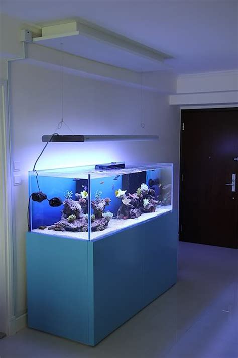 20 Modern Aquariums For Cool Interior Styles Home Design And Interior