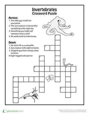 Invertebrates are animals that neither possess nor develop a vertebral column (commonly known as a backbone or spine), derived from the notochord. Invertebrates Crossword Puzzle | Worksheet | Education.com
