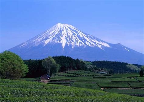 Mount Fuji In Japan Tokyo Suraflin Blog