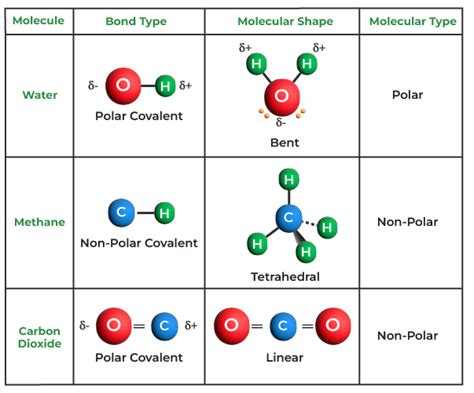 Covalent Bond Definition Examples Types Properties And Faqs