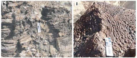 Stromatolites Of The Strelley Pool Formation — Crystal World Australia