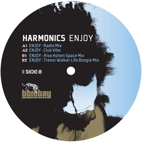 Enjoy Harmonics Sean Dimitrie Nav Awaaz Bombay Records