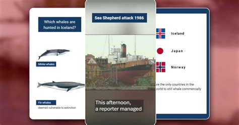 The future of whaling in Iceland RÚV is