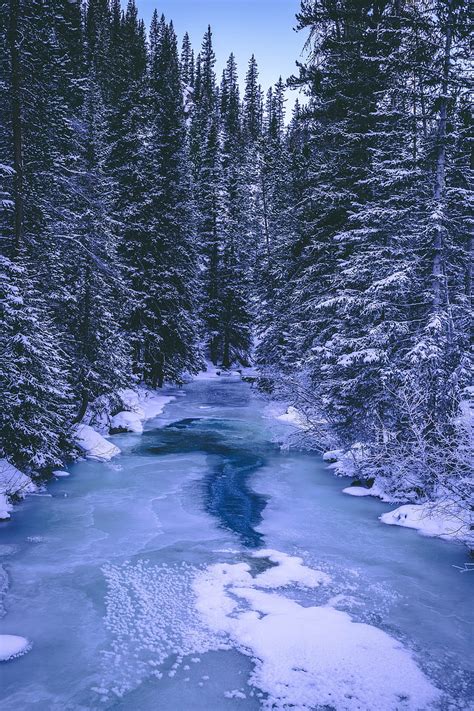 Winter Nature Rivers Trees Ice Snow Forest Hd Phone Wallpaper