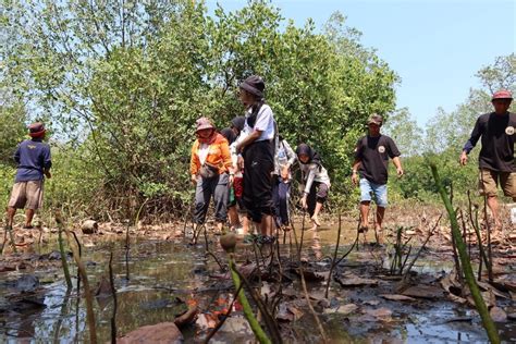 Mahasiswa Unej Bersama Warga Tanam Bibit Mangrove Di Teluk Love