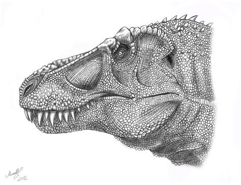 Tyrannosaurus Rex Head By Malvit On Deviantart