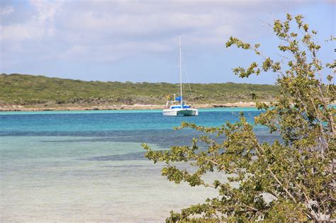 Bond Voyage Little Harbor Bahamas
