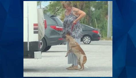 Florida Woman Charged With Animal Cruelty After Viral Video Shows Her
