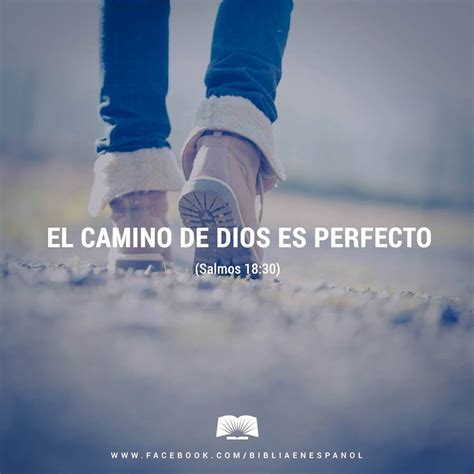 El Camino De Dios Es Perfecto La Promesa Del Señor Es Digna De