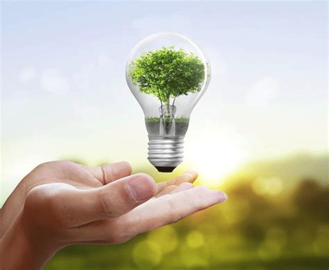 8 Great Ways To Save Energy At Home Greenking