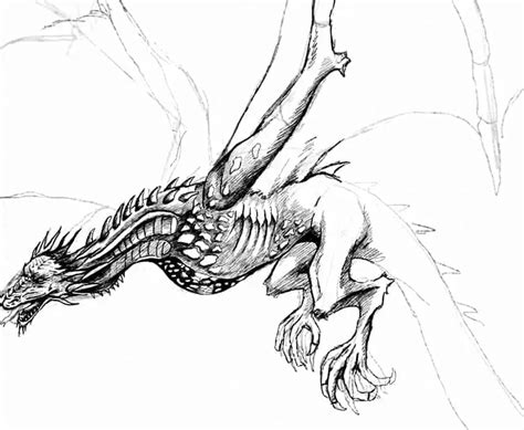 Introducir 59 Imagen Dibujos De Dragones Viaterramx