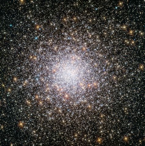Hubble Releases Shimmering Image Of A Youthful Globular Cluster Boing