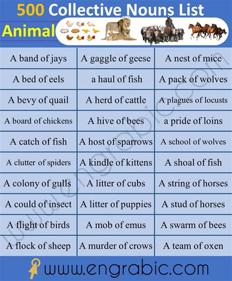 Collective Nouns For Animals Worksheet