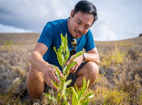 Ex Reddit Ceo To Plant One Trillion Trees To ‘reverse Climate Crisis