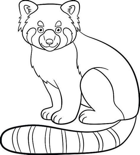 See more ideas about red panda, cute animals, panda. Royalty Free Red Panda Clip Art, Vector Images ...