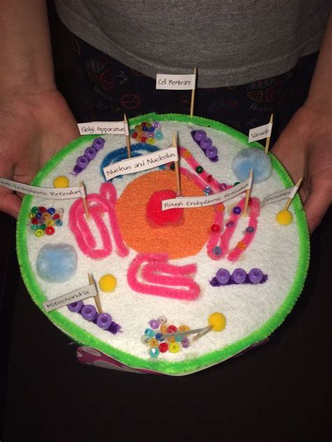 Your cells have parts, called organelles, that each perform various functions to absorb nutrients from your food this project is great for schoolchildren. Pin on School
