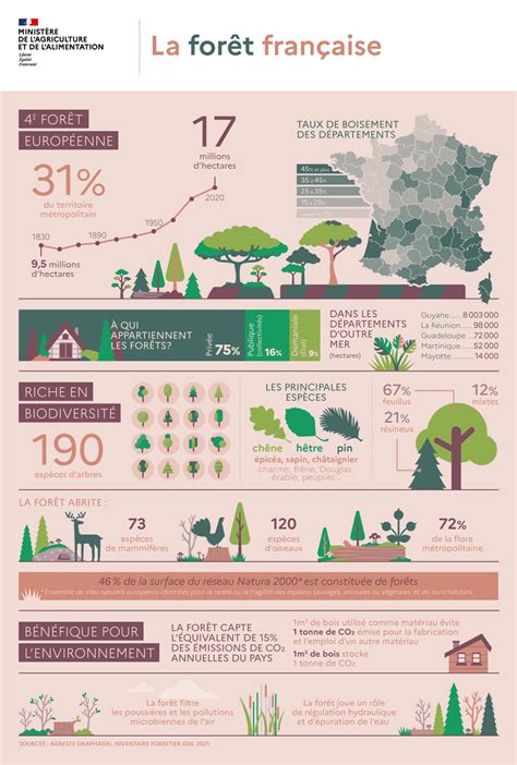 Infographie La Forêt Française Ministère De Lagriculture Et De L
