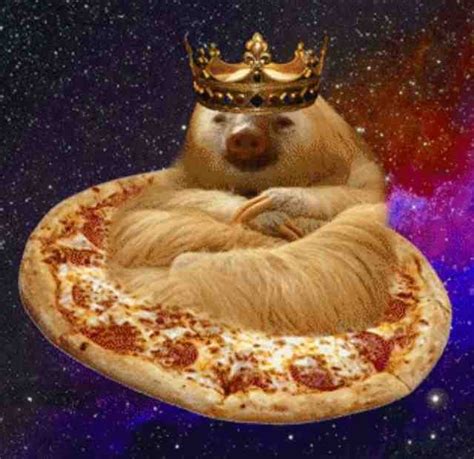 A King Sloth Riding A Pizza In Space Pics