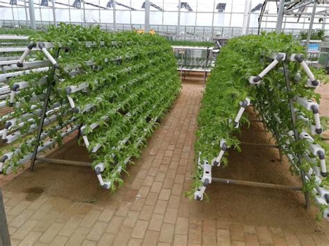 Vertical Hydroponic Growing System Indoor Vegetable Garden Kit
