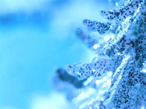 Free Download Blue Christmas Trees Wallpaper Holiday Wallpapers 1985