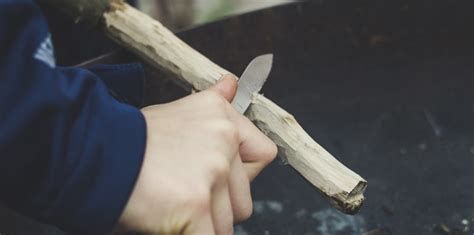 Whittling For Beginners Gear Hungry