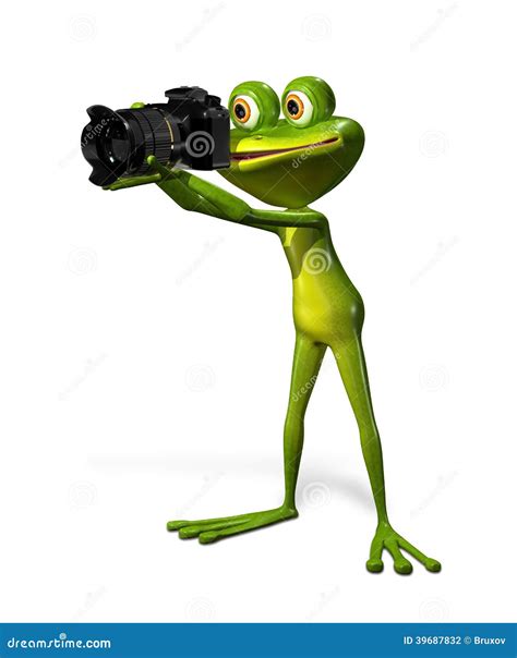 Frog With A Camera Stock Illustration Illustration Of Nature 39687832