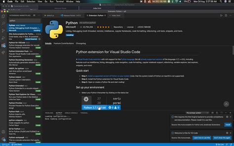 Running Python Code In Visual Studio Code Stack Overflow Hot Sex Picture