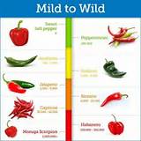 Types Of Chili Peppers And Their Heat Index Images