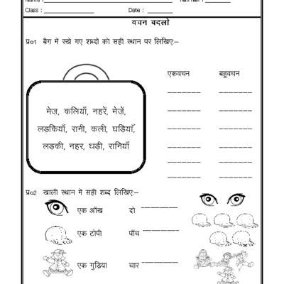 worksheet of hindi worksheet singular plural in hindi