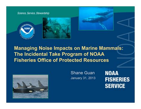 Pdf Managing Noise Impacts On Marine Mammals The Incidental Take