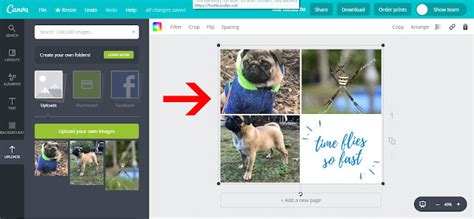 How To Upload An Image In Canva Design Bundles