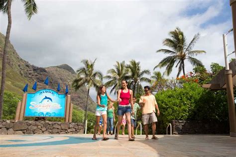 Oahu Algemeen Toegangsbewijs Sea Life Park Getyourguide