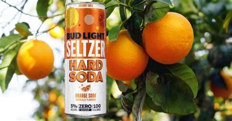 Bud Light Seltzer Orange Hard Soda Seltzer Nation