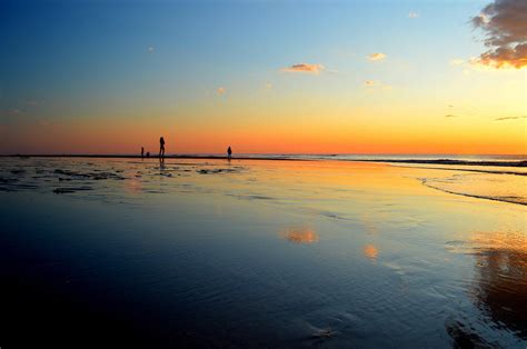 Sunrise Gazing Cape Cod National Seashore Photograph By Dianne Cowen