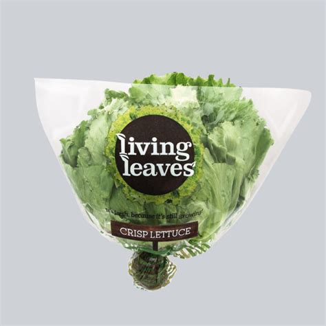 Lettuce Packaging Wilsam