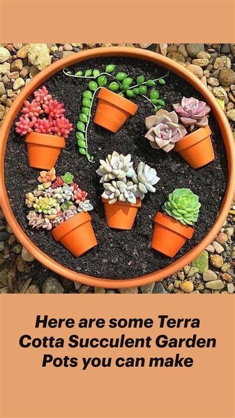 Terra Cotta Succulent Garden Pots You Can Make Succulent Arrangements
