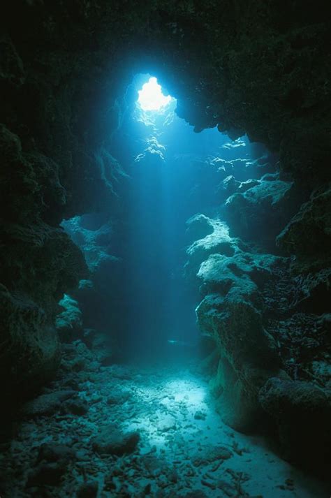 Underwater Photography Photograph A Beam Of Sunlight Illuminates An