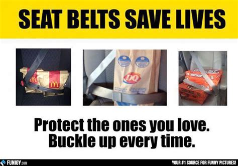seat belts save lives funny car pictures protect seat belt