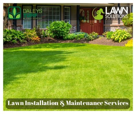 Quality Lawn Installation And Maintenance Services By Daleysturf
