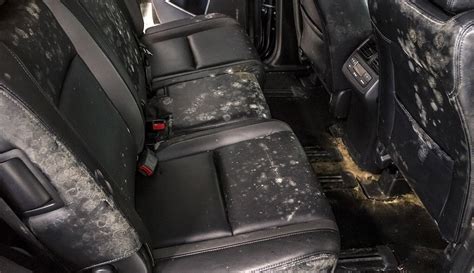 That's why we've created this guide. CAR MOLD REMOVAL - MILDEW SMELL | AUTO DETAILING