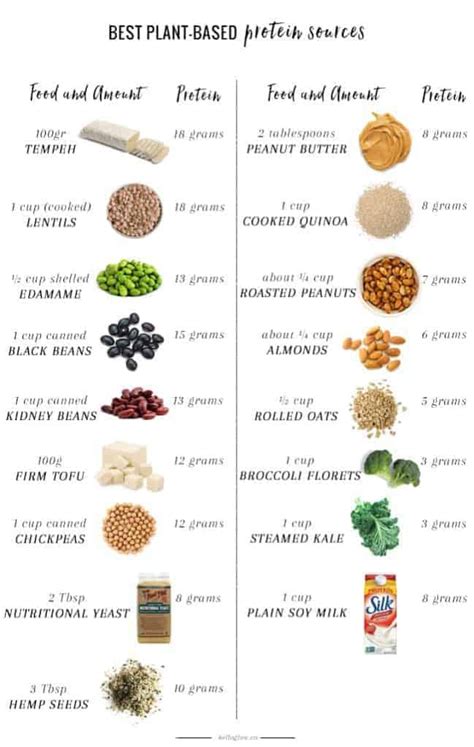 A Nutritionist Explains The Best Plant Based Protein Sources Hello Glow