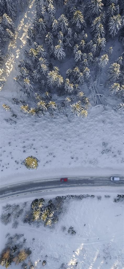 1125x2436 Birds Eye Aerial View Of Road Trees Winter 4k Iphone Xs