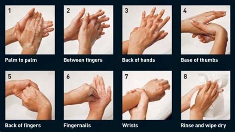 Washing your hands is one of the simplest ways you can protect yourself and others from illnesses such as food poisoning and flu. When And How to Wash Your Hand The Right Way? | BKP Collection